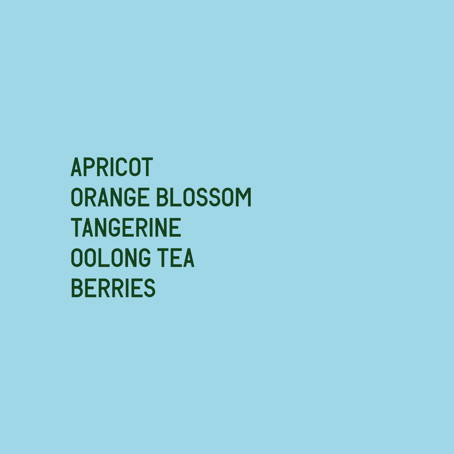 Gesha Village Oma 056 Natural