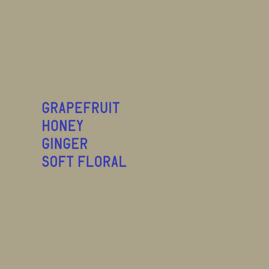 Finca El Injerto Ethiopian Landrace Washed