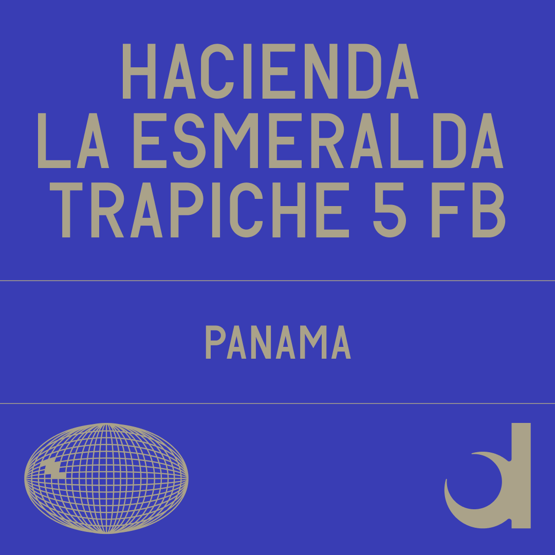 Hacienda La Esmeralda Trapiche 5 Fb Washed