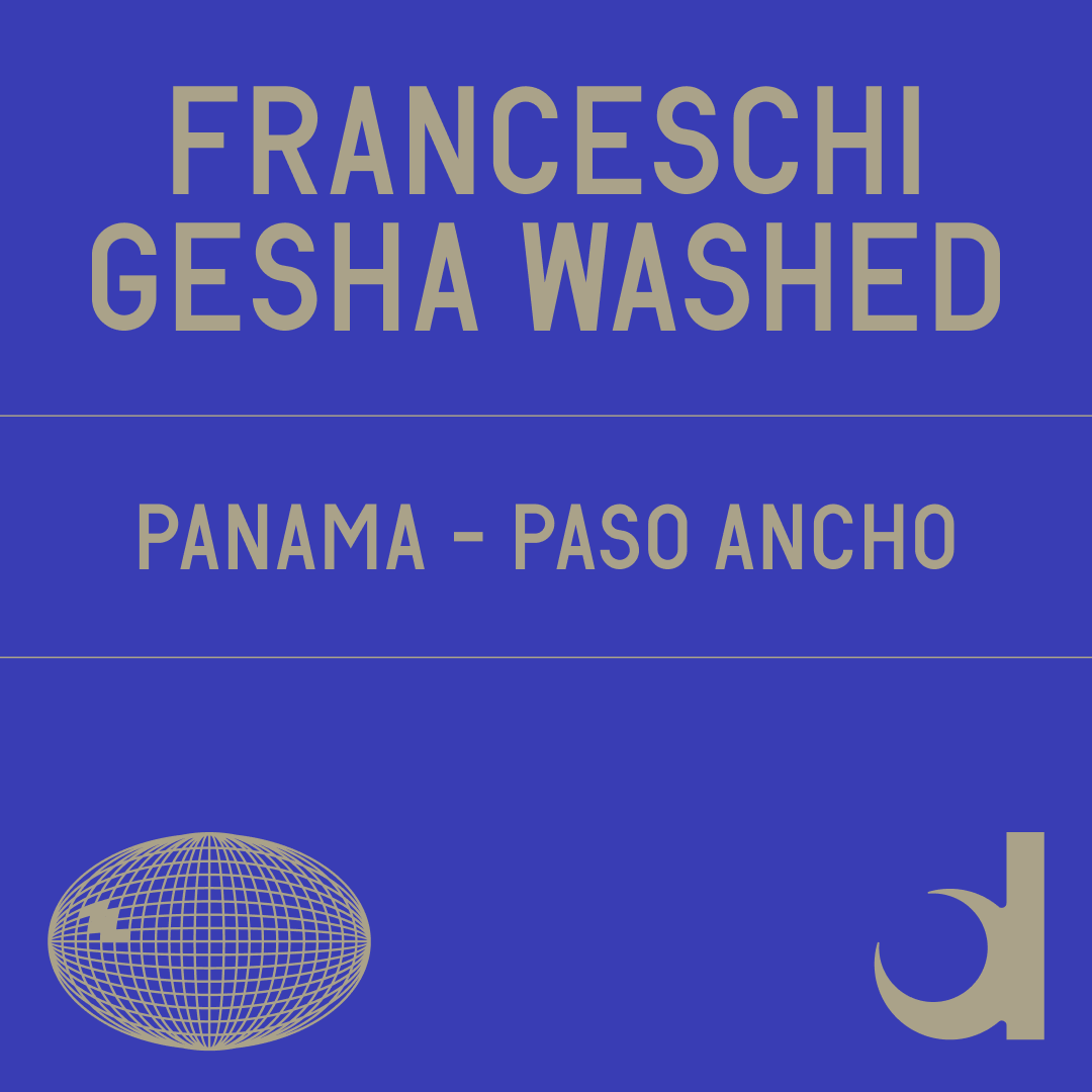 Franceschi Gesha Washed