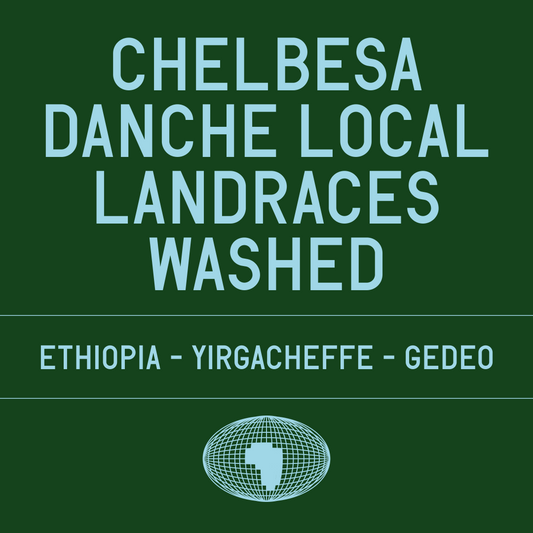 Chelbesa Danche Local Landraces Washed