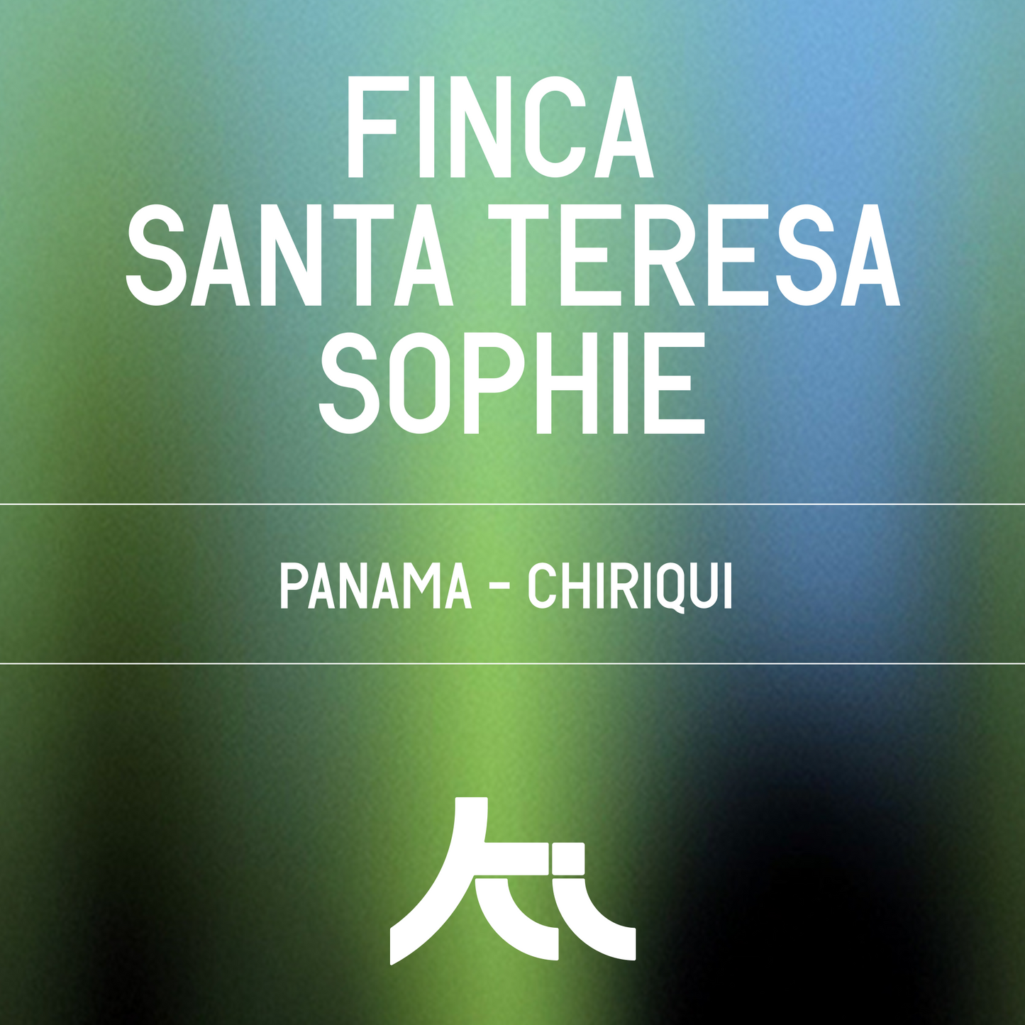 Finca Santa Teresa Sophie Gesha Washed