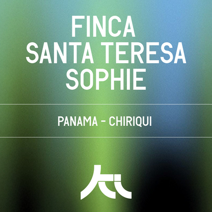 Finca Santa Teresa Sophie Gesha Washed