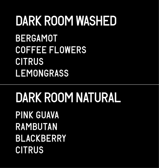 Alo Coffee Dark Room Washed & Dark Room Natural 2x25g