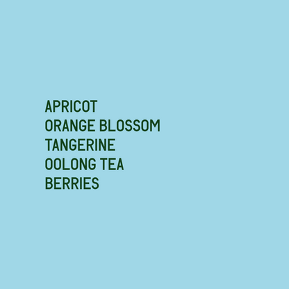 Gesha Village Oma 056 Natural