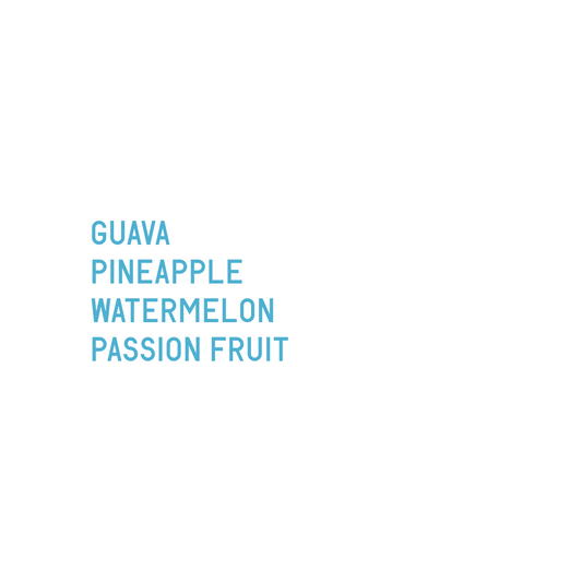 Lost Origin X Finca Santa Teresa Gesha Natural