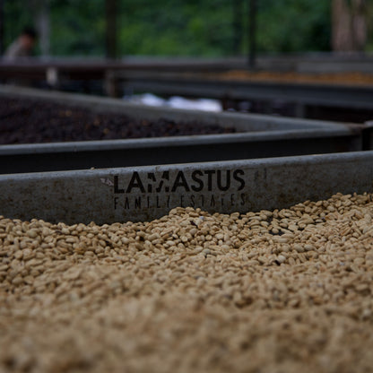 Elida Estate Falda Gesha Washed CRD Lamastus Family