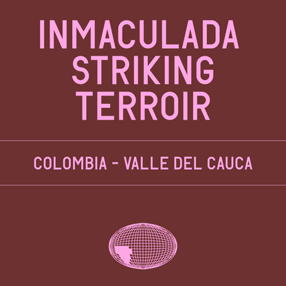 Inmaculada Striking Terroir Gesha Natural - Nitrogen Flushed