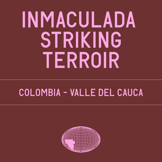 Inmaculada Striking Terroir Gesha Natural - Nitrogen Flushed