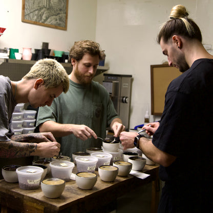 Lost Origin X Finca Santa Teresa Gesha Natural