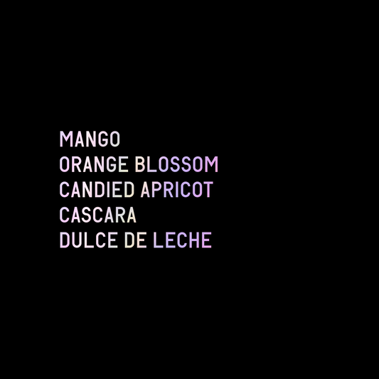 Mikava Marsella Reserva lot 233