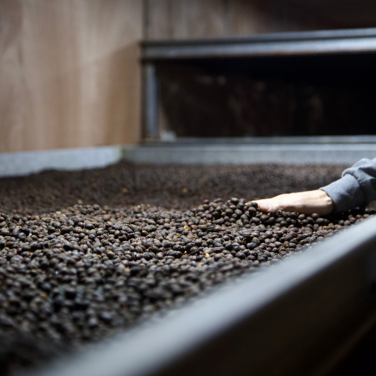 Bambito Estate Gesha Washed Highland Grace Lot 2