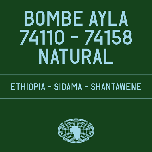 Bombe Ayla 74110  -  74158  Natural