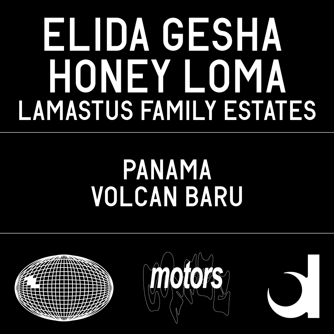 Elida Gesha Honey Loma Lamastus Family Estates