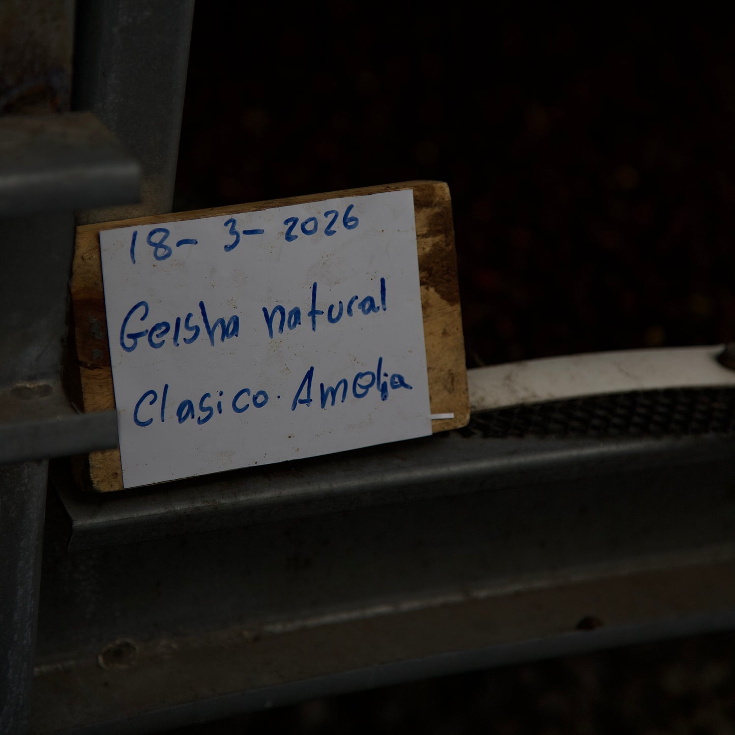 Lérida - Amelia Estate   
Gesha Natural