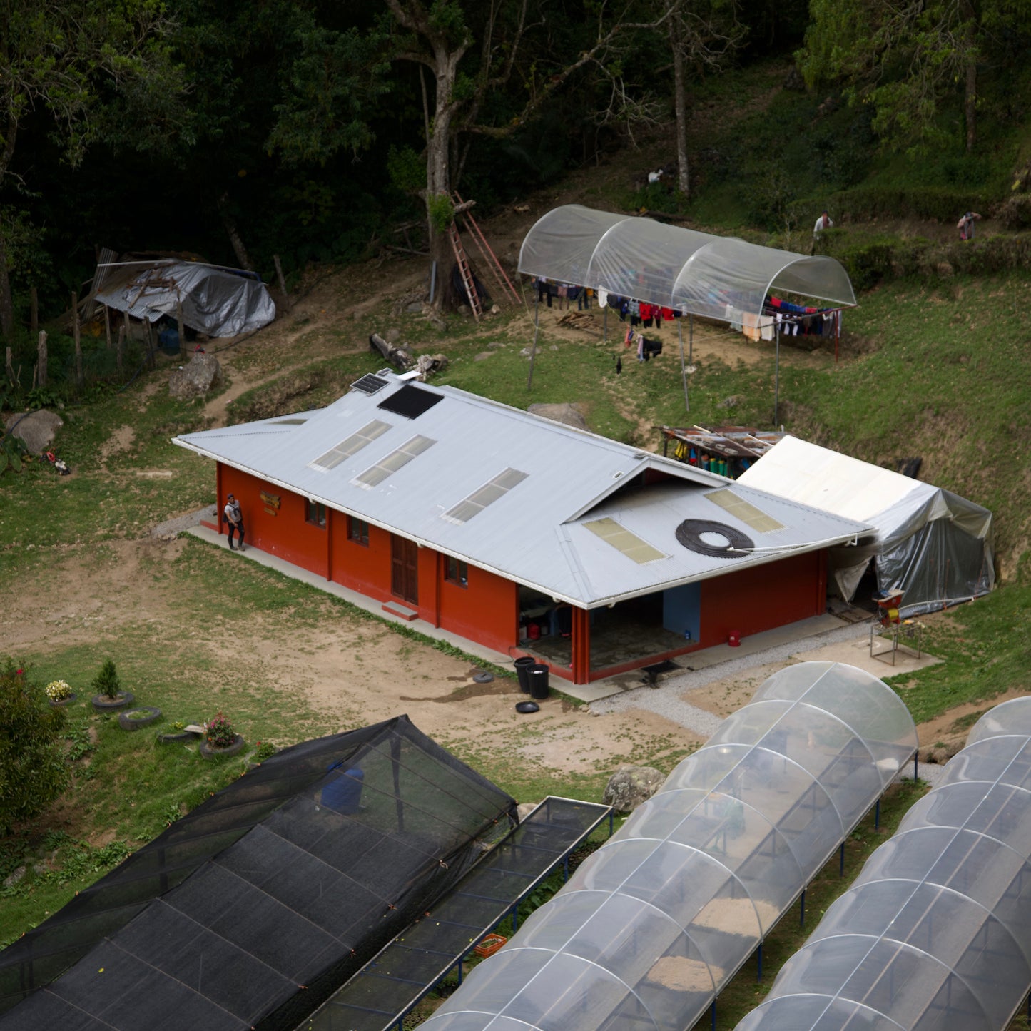 Finca Sophia Lot FS9325 Grand reserve Colibri Gesha Washed