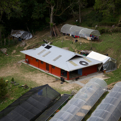 Finca Sophia Lot FS9325 Grand reserve Colibri Gesha Washed