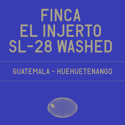 Finca El Injerto SL-28 Washed