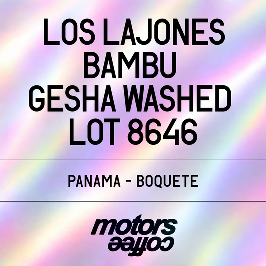Los Lajones Bambu Gesha Washed Lot 8646