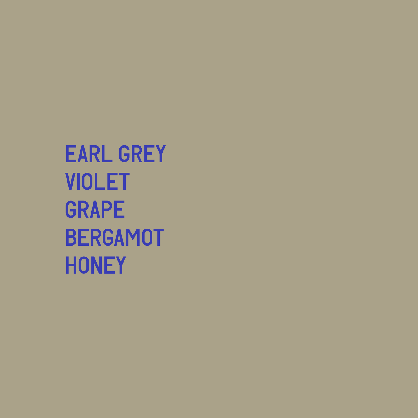 Finca Santa Teresa Manzana Gesha Washed