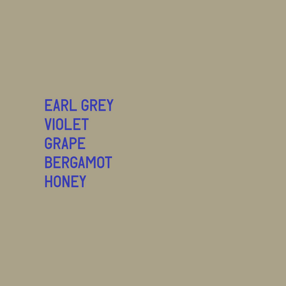 Finca Santa Teresa Manzana Gesha Washed