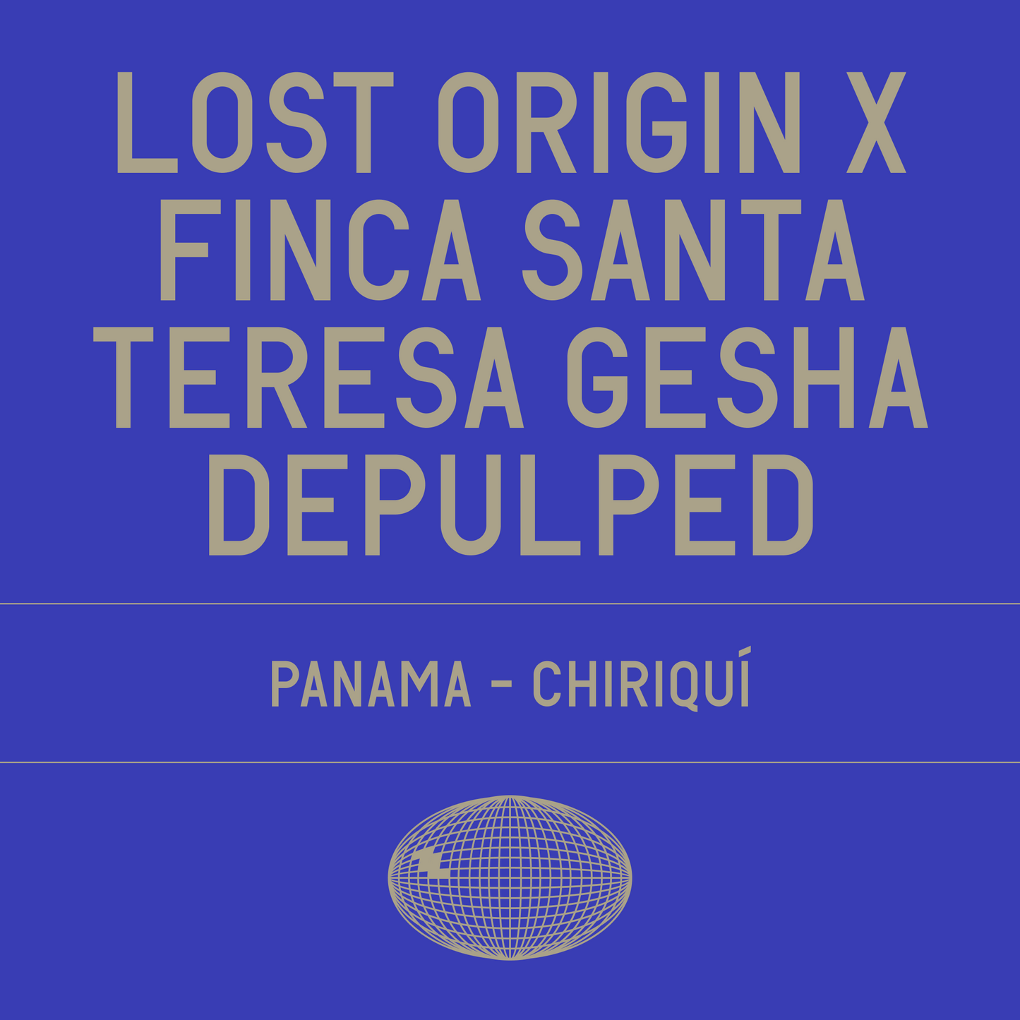 Lost Origin x Finca Santa Teresa Gesha Depulped