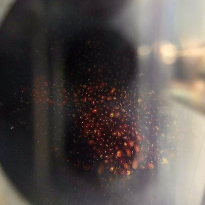 Lost Origin X Finca Santa Teresa Gesha Natural