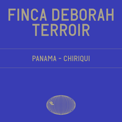 Finca Deborah Terroir