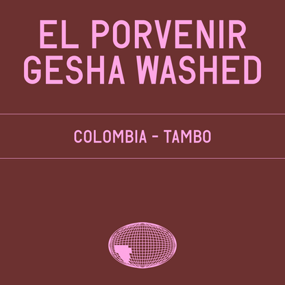 El Porvenir Gesha Washed