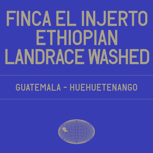 Finca El Injerto Ethiopian Landrace Washed