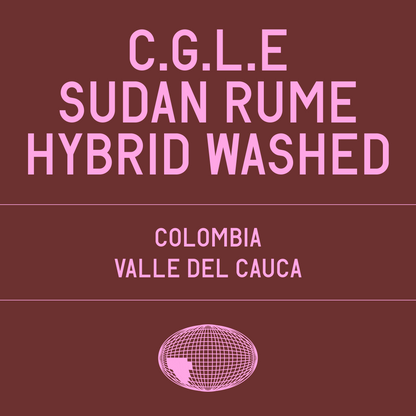 Cafe Granja La Esperanza Sudan Rume Hybrid Washed