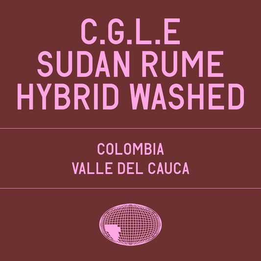 Cafe Granja La Esperanza Sudan Rume Hybrid Washed