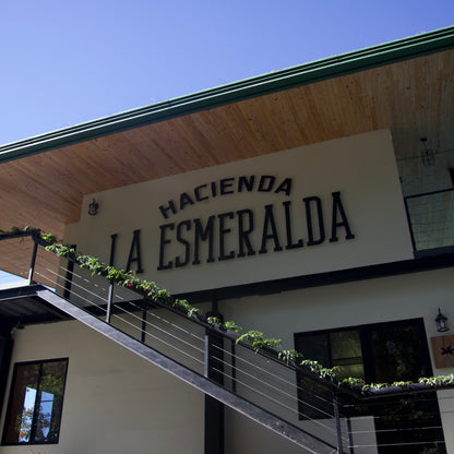 Hacienda La Esmeralda Lino 4 FB Gesha Washed