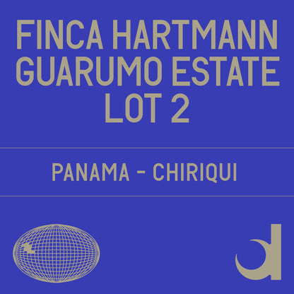 Finca Hartmann Guarumo Estate Natural - dark room lot 2