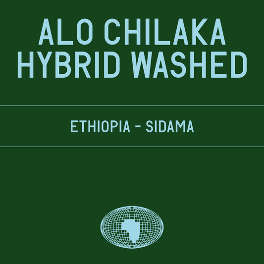 Alo Chilaka 74158 Hybrid Washed