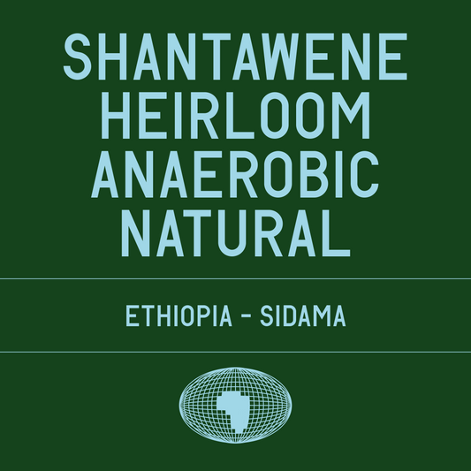 Shantawene Heirloom Anaerobic Natural