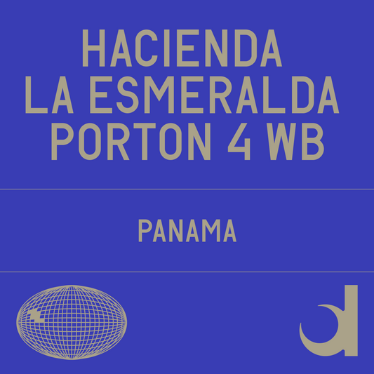 Hacienda La Esmeralda Porton 4 Wb Washed
