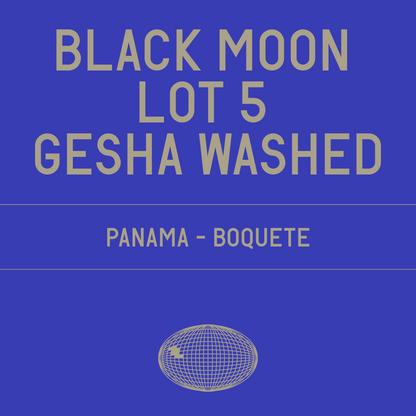 Black Moon Lot 5 Gesha Washed