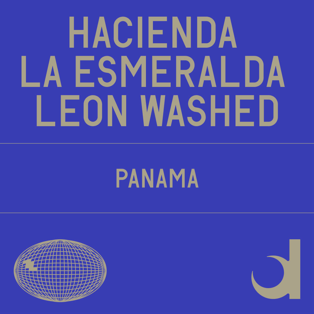 Hacienda La Esmeralda Leon  Washed