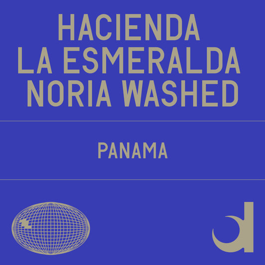 Hacienda La Esmeralda Noria  Washed