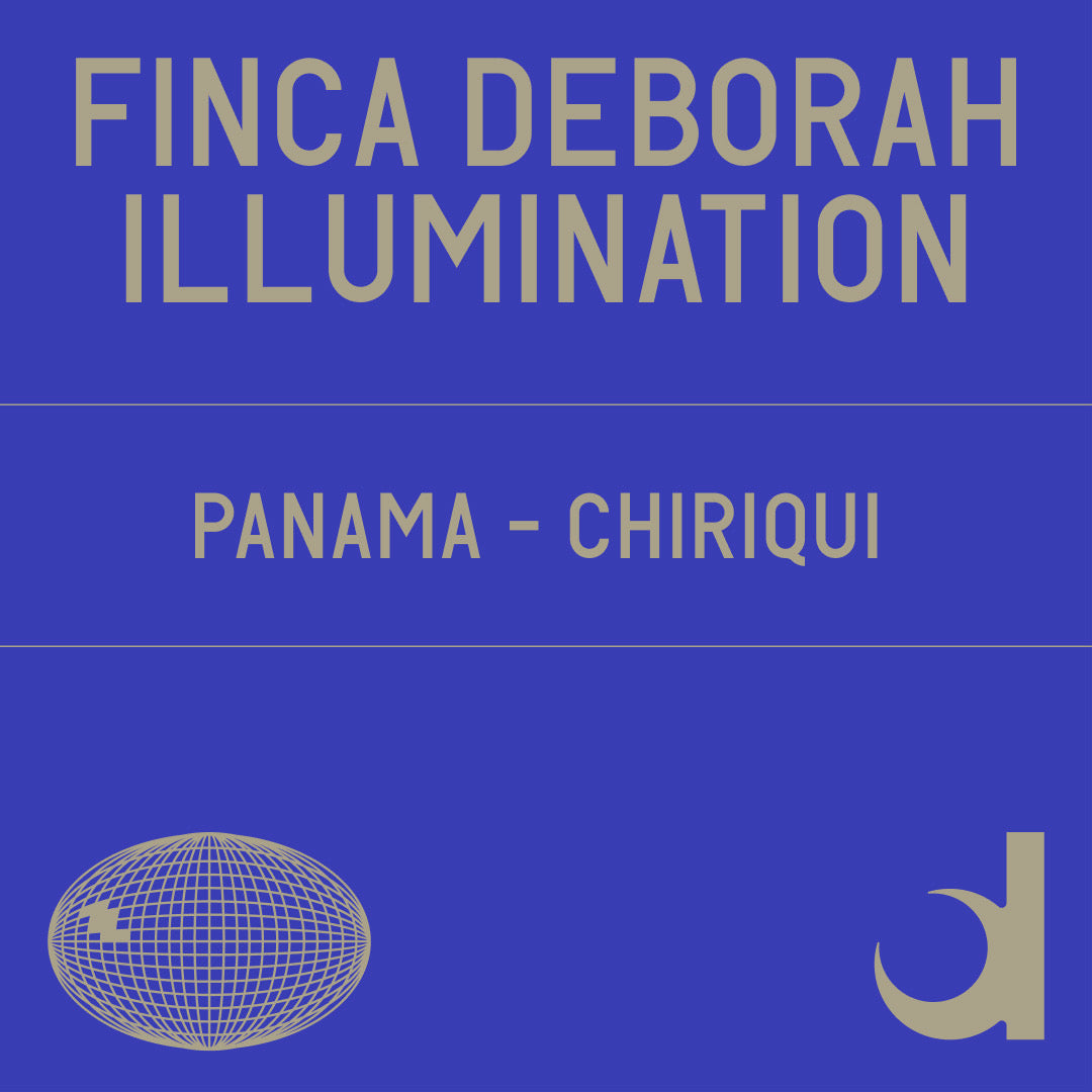 Finca Deborah Illumination